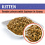 Purina PRO PLAN Tender Pieces With Salmon In Gravy Kitten Wet Cat Food