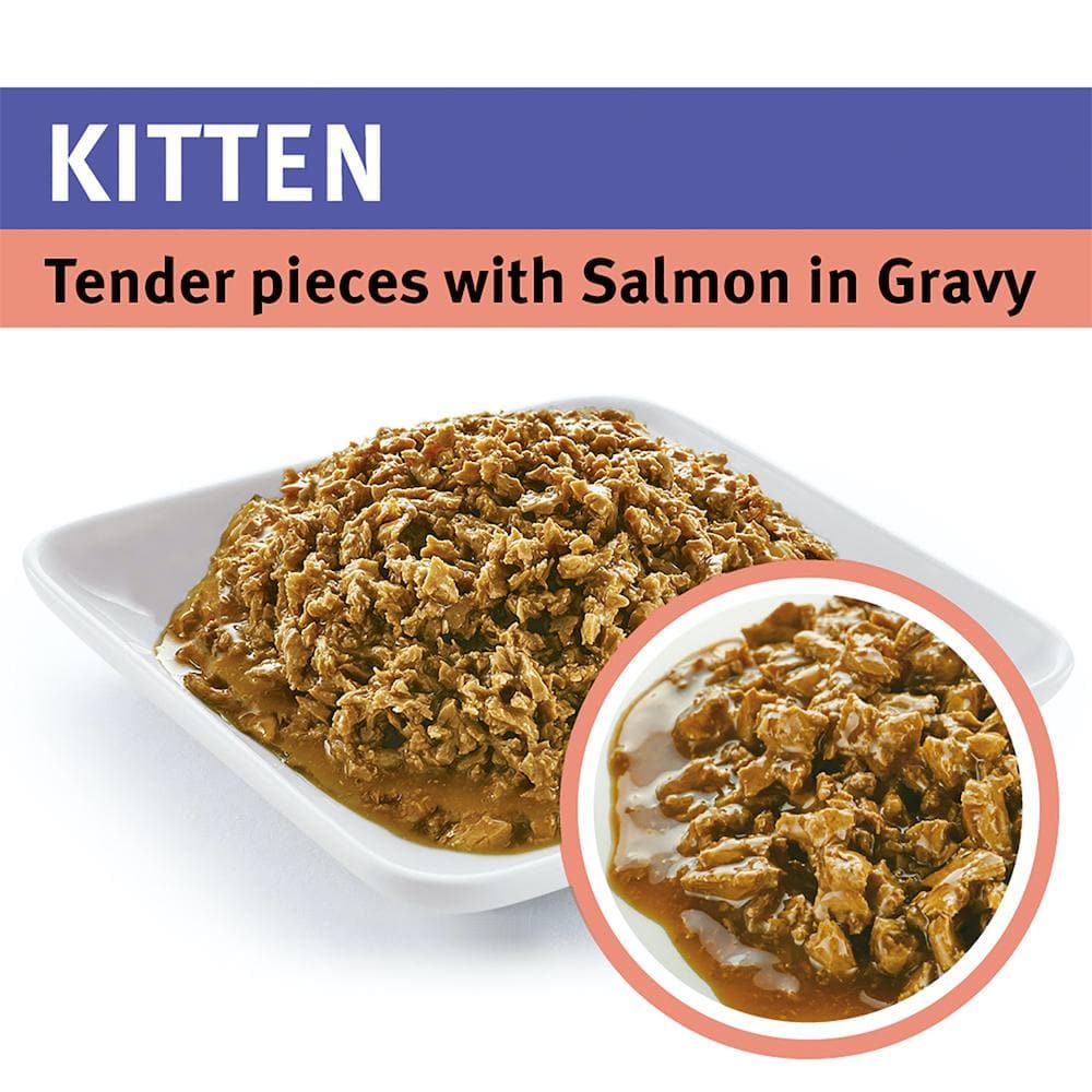 Purina PRO PLAN Tender Pieces With Salmon In Gravy Kitten Wet Cat Food