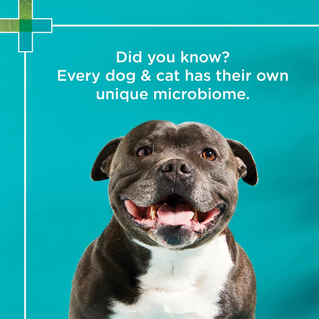 PAW by Blackmores DigestiCare™ for Dogs and Cats 143g