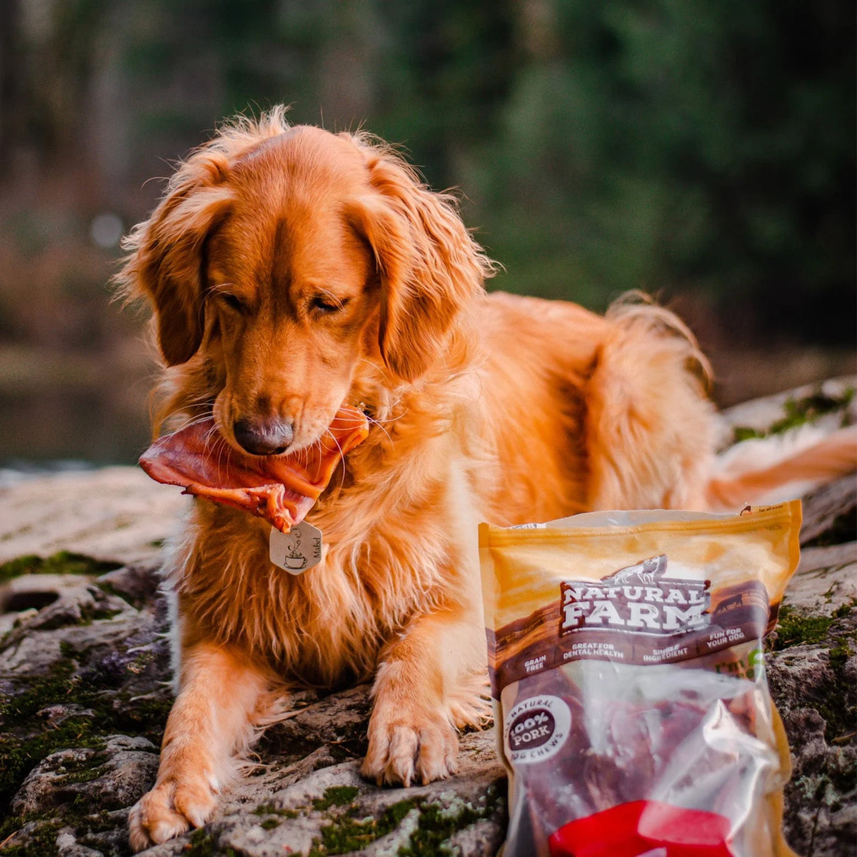 Natural Farm Dog Treat Pig Ears 8Pack