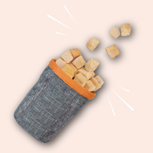 Naturawr Freeze-Dried Dog Treats Pumpkin Patch 30g