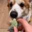 Ranova Freeze Dried Dog Teeth Cleaning Treats - Dental Star 45g