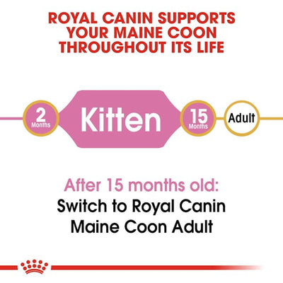 ROYAL CANIN Maine Coon Kitten Dry Cat Food