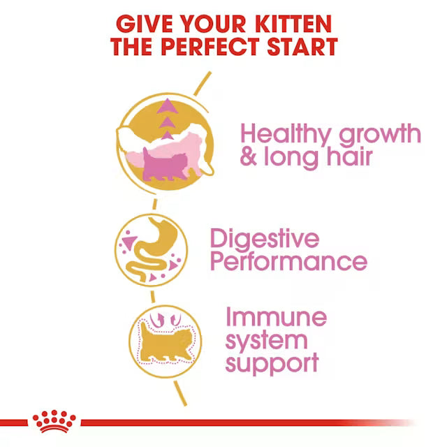 ROYAL CANIN Persian Kitten Dry Cat Food 2Kg