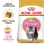 ROYAL CANIN Persian Kitten Dry Cat Food 2Kg
