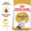 ROYAL CANIN Ragdoll Adult Dry Cat Food
