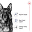 ROYAL CANIN Adult Dry Dog Food Maxi Senior 8+ 15kg