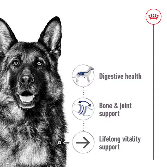 ROYAL CANIN Adult Dry Dog Food Maxi Senior 8+ 15kg