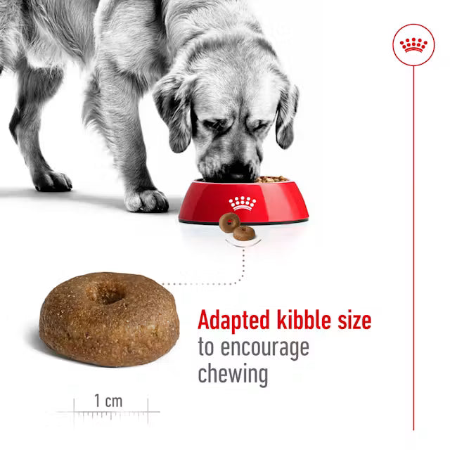 ROYAL CANIN Adult Dry Dog Food Maxi Senior 8+ 15kg