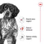 ROYAL CANIN Adult Dry Dog Food Medium Mature Adult 7+ 15kg