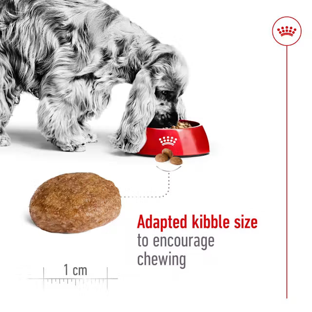 ROYAL CANIN Adult Dry Dog Food Medium Mature Adult 7+ 15kg