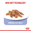 ROYAL CANIN Indoor Jelly Adult Wet Cat Food 85g x 12