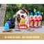 KONG Dog Toy Classic 50th Anniversary Limited Edition Gold