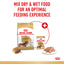 ROYAL CANIN Dachshund Loaf Adult Wet Dog Food 85g x 12