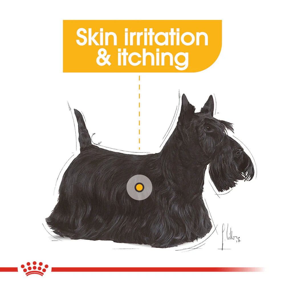 ROYAL CANIN Adult Dry Dog Food Mini Dermacomfort 3Kg