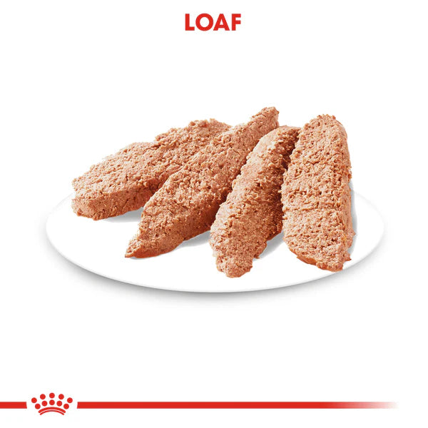 ROYAL CANIN Light Weight Care Loaf Adult Wet Dog Food 85g x 12