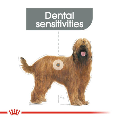 ROYAL CANIN Adult Dry Dog Food Maxi Dental Care