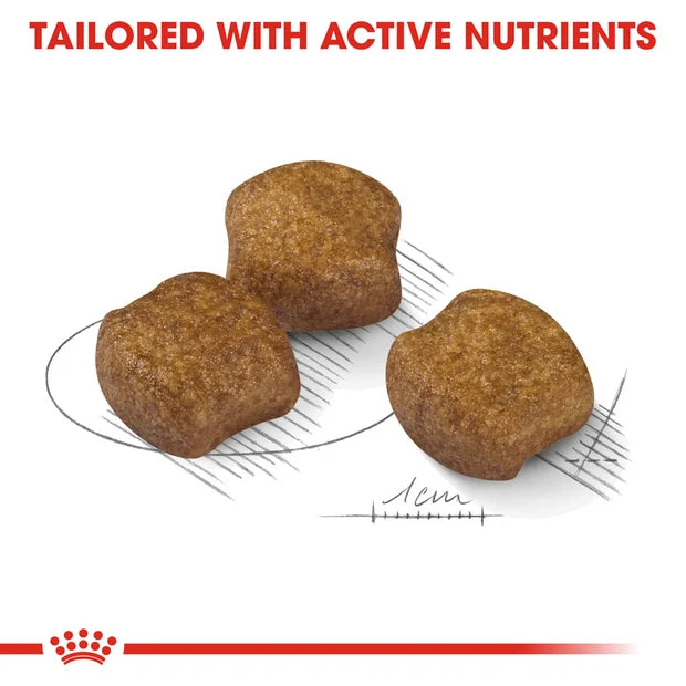 ROYAL CANIN Adult Dry Dog Food Medium Dental Care