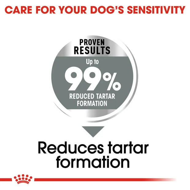 ROYAL CANIN Adult Dry Dog Food Medium Dental Care