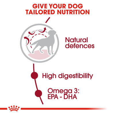 ROYAL CANIN Medium Adult Dry Dog Food