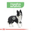 ROYAL CANIN Adult Dry Dog Food Medium Digestive Care