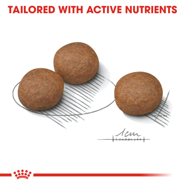 ROYAL CANIN Adult Dry Dog Food Medium Digestive Care