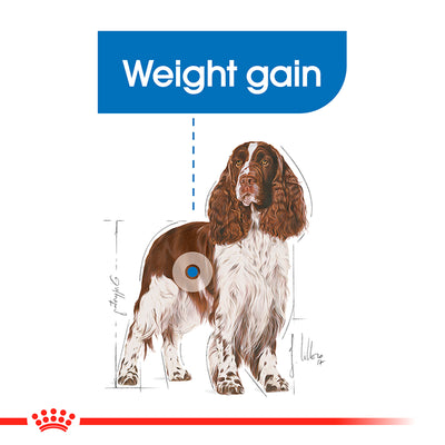 ROYAL CANIN Adult Dry Dog Food Medium Light Weight Care