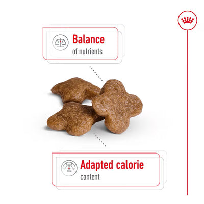 ROYAL CANIN Mini Adult 8+ Dog Food 2Kg