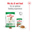 ROYAL CANIN Mini Adult 8+ Dog Food 2Kg