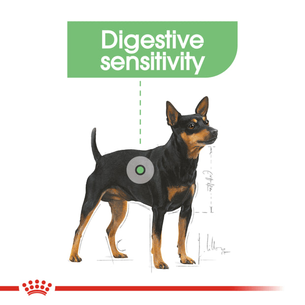 ROYAL CANIN Adult Dry Dog Food Mini Digestive Care