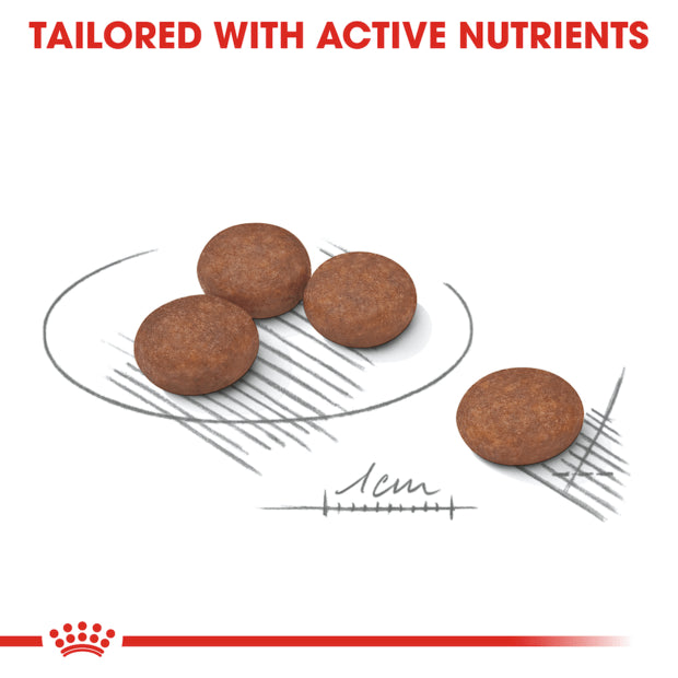 ROYAL CANIN Adult Dry Dog Food Mini Digestive Care
