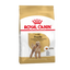 ROYAL CANIN Poodle Adult Dry Dog Food