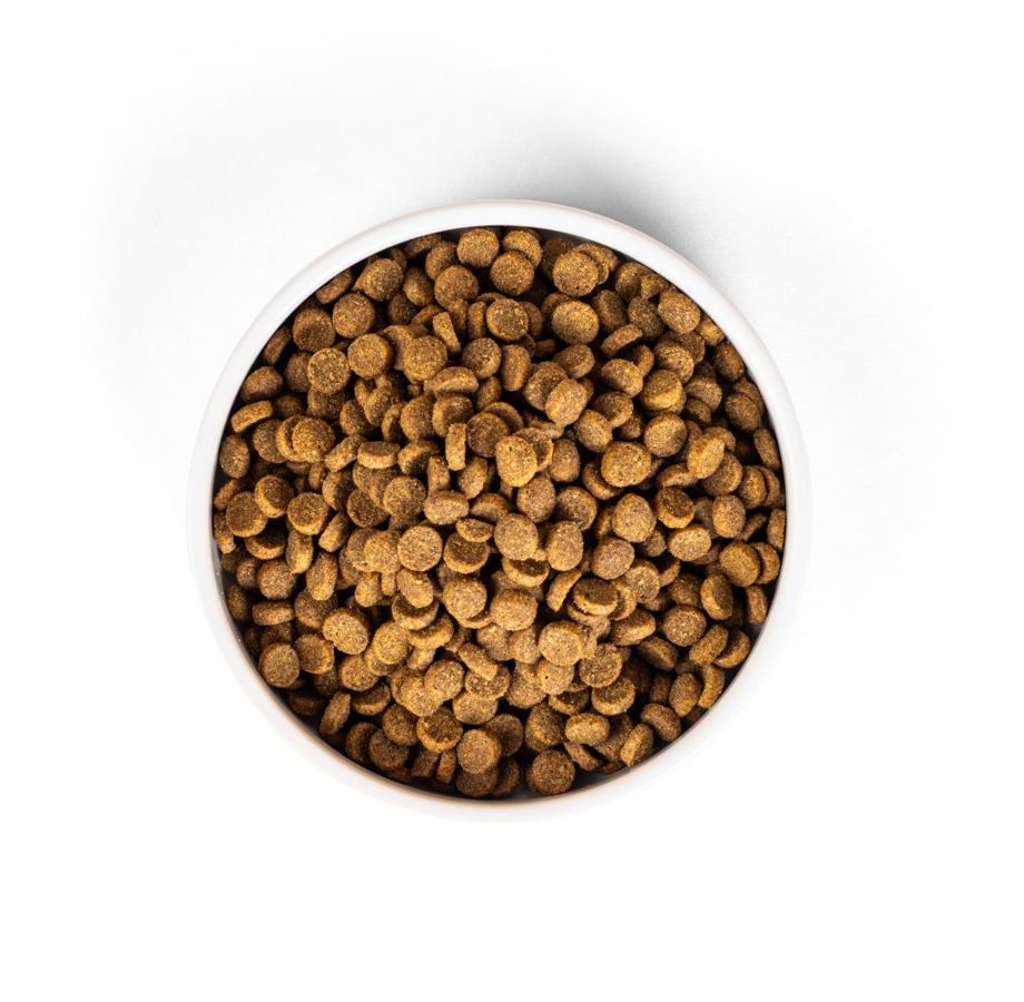 SavourLife Adult Cat Dry Food Chicken