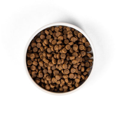 SavourLife Adult Cat Dry Food Care Plus Indoor & Hairball Control Chicken