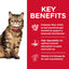 Hill's Science Diet Adult Cat Food Sensitive Stomach & Skin