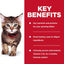Hill's Science Diet Kitten Cat Wet Food Turkey 85g X 12