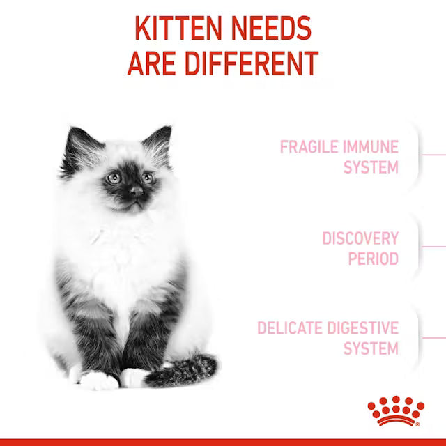 ROYAL CANIN Kitten Dry Cat Food