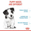 ROYAL CANIN Mini Puppy Dry Dog Food