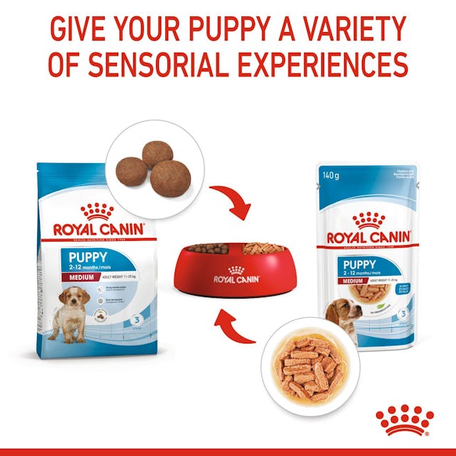 ROYAL CANIN Medium Puppy Chunks in Gravy Wet Dog Food 140gx10