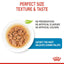 ROYAL CANIN Mini Puppy Chunks in Gravy Wet Dog Food 85gx12