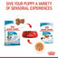 ROYAL CANIN Mini Puppy Chunks in Gravy Wet Dog Food 85gx12