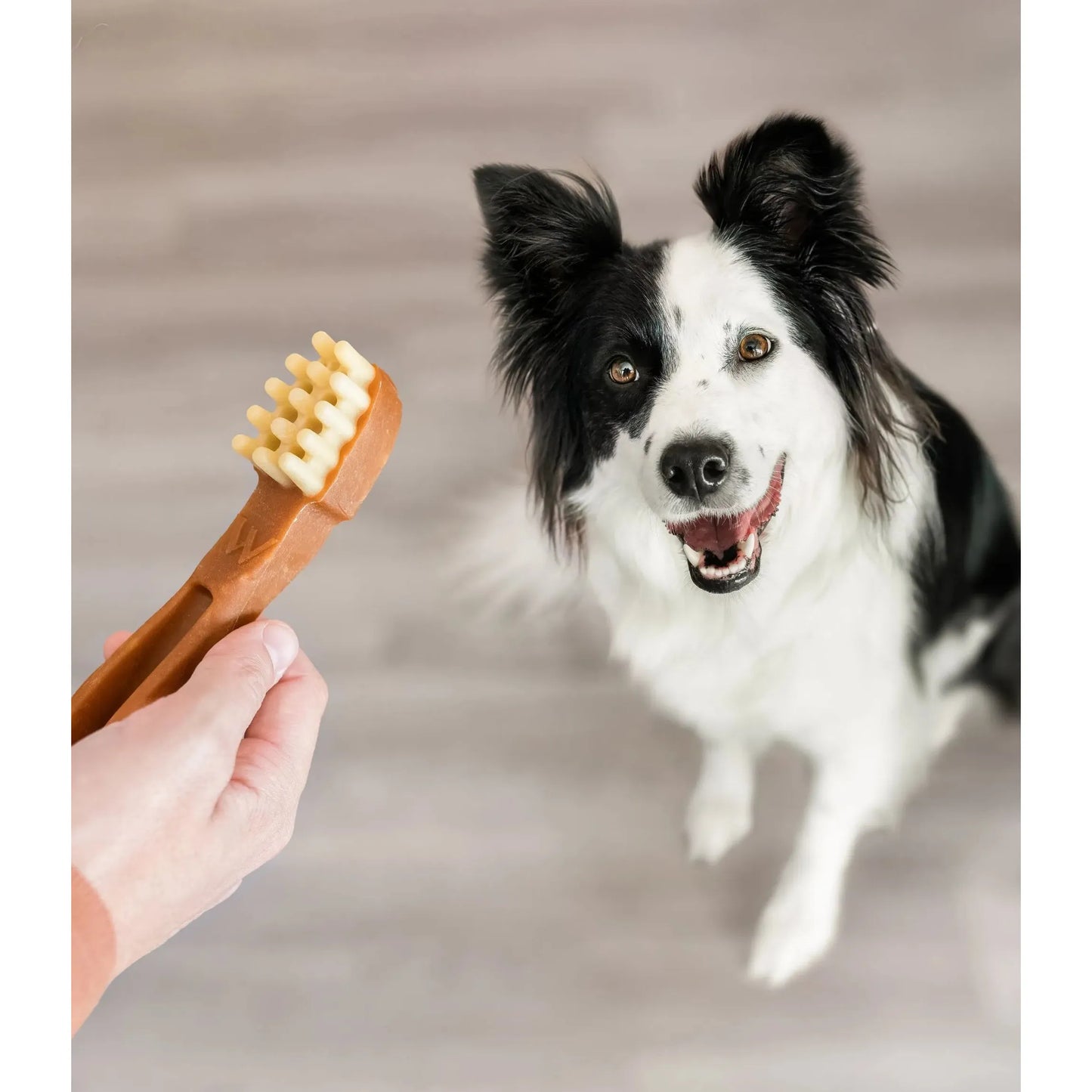 Whimzees Dental Dog Treats Toothbrush