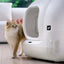 PETKIT PURA MAX Automated Self-Clean Cat Litter Box