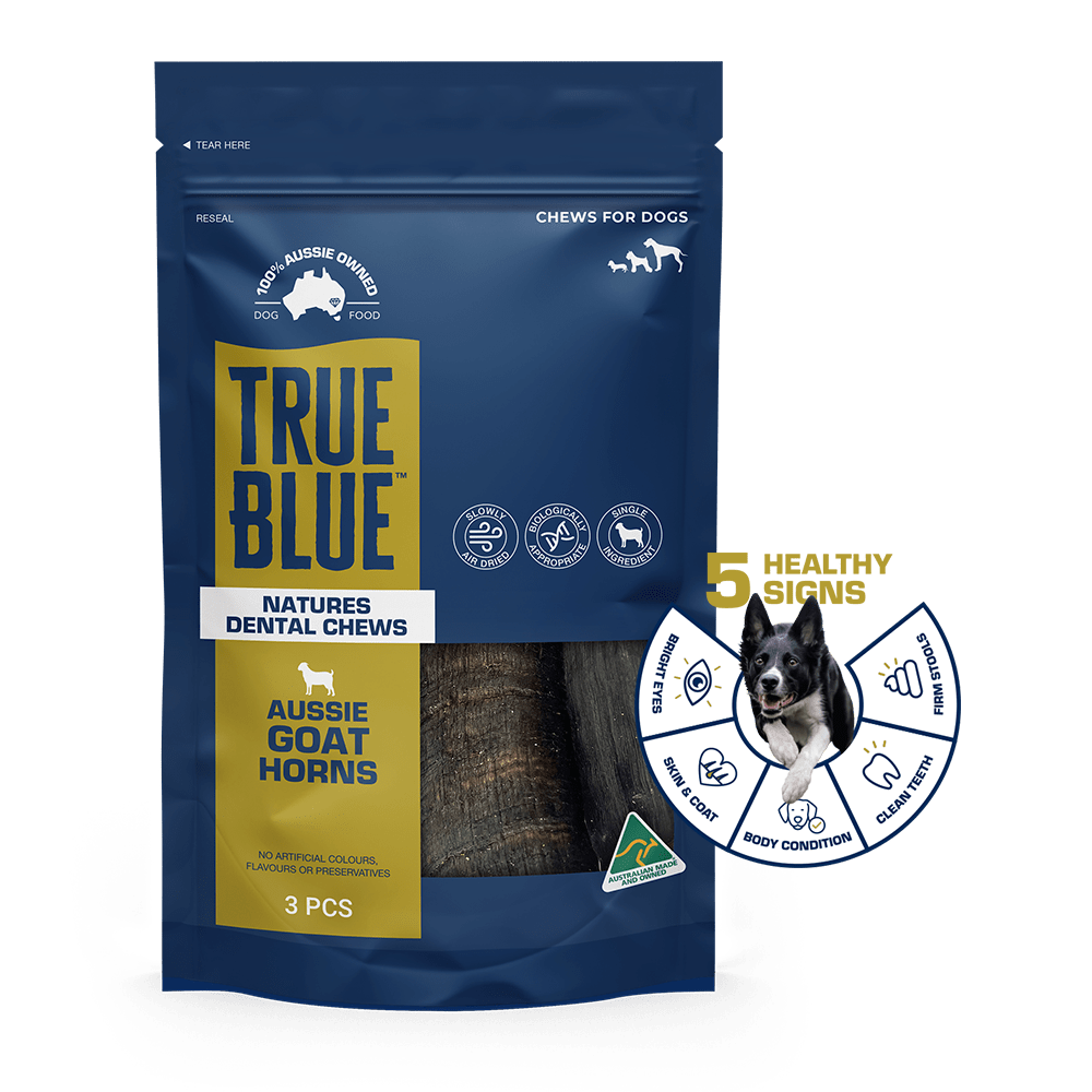 True Blue Air Dried Treats Aussie Goat Horns 3PK