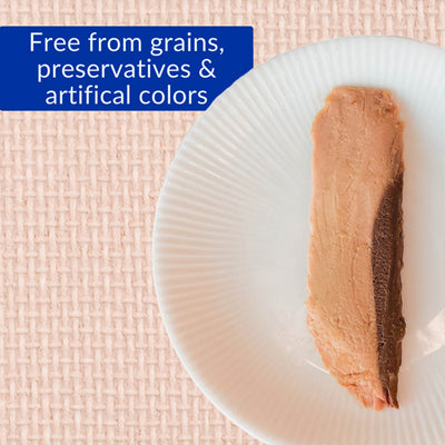 INABA Cat Treat Grilled Tuna in Scallop Flavored Broth 25g