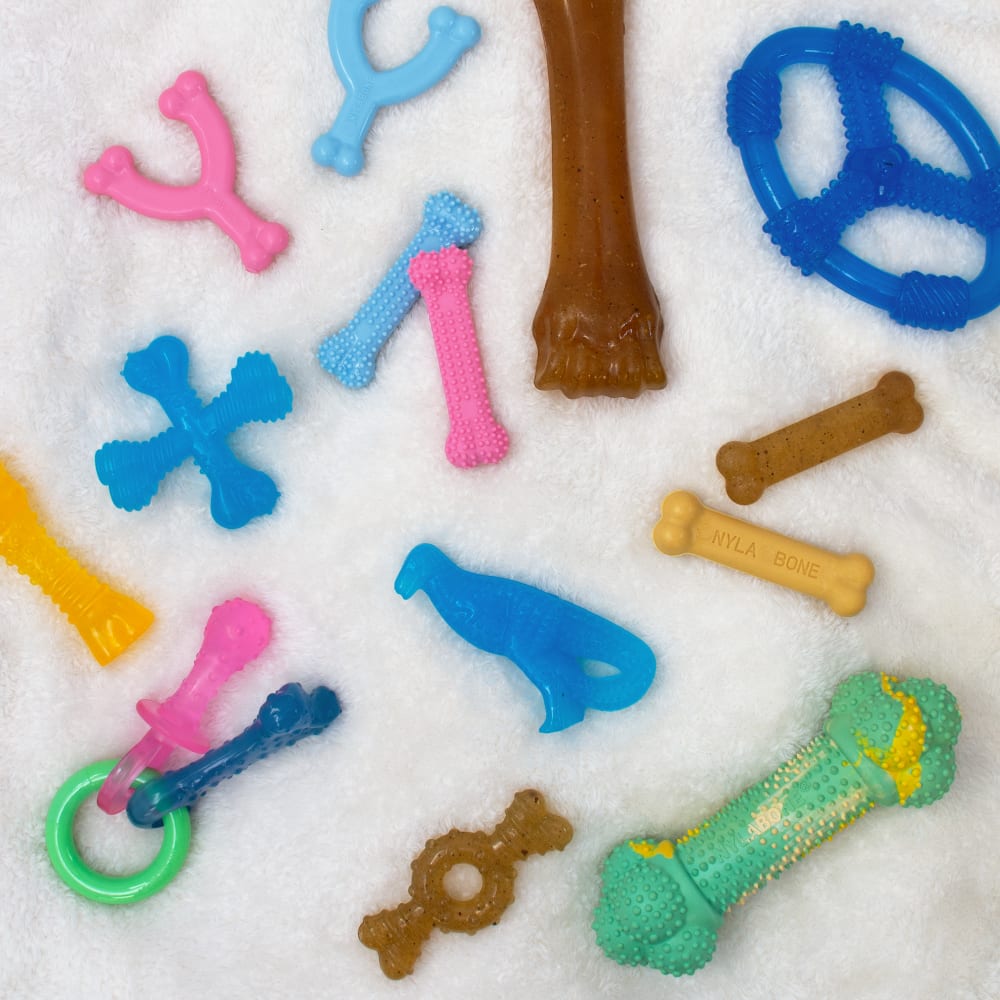 Nylabone Puppy Chew Toy Textured Teething Bone XSmall