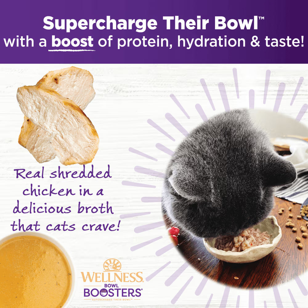 WELLNESS Core Wet Cat Food Bowl Boosters Shredded Chicken In Broth