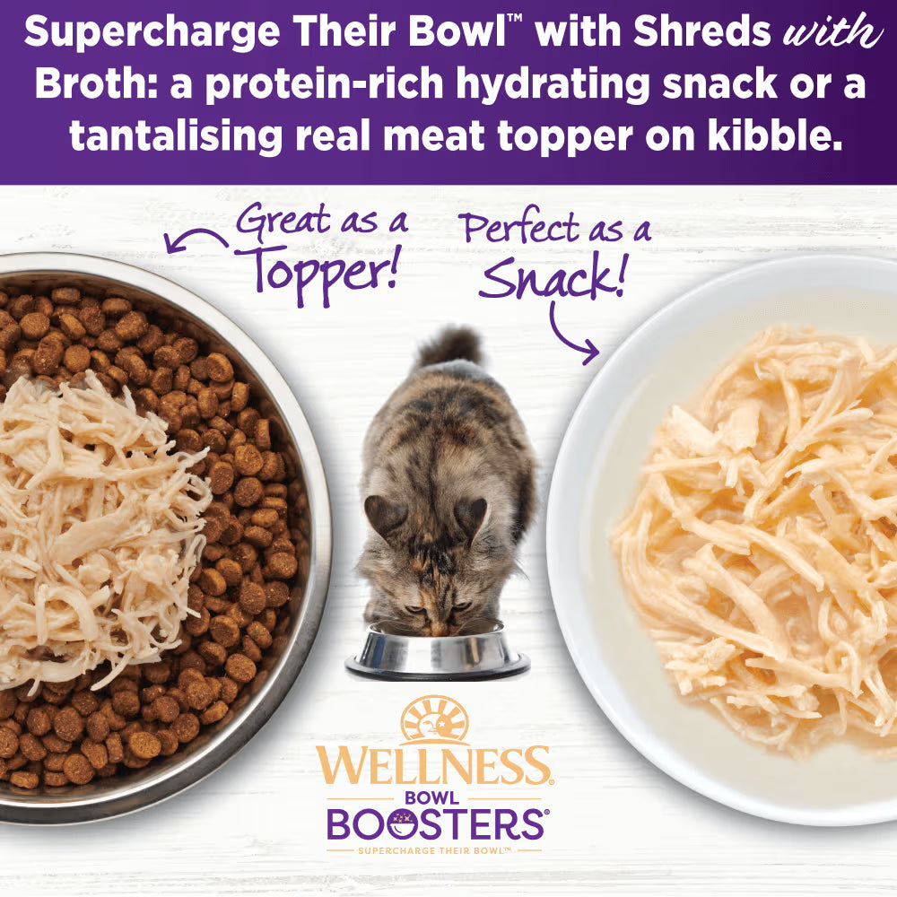 WELLNESS Core Wet Cat Food Bowl Boosters Shredded Chicken In Broth