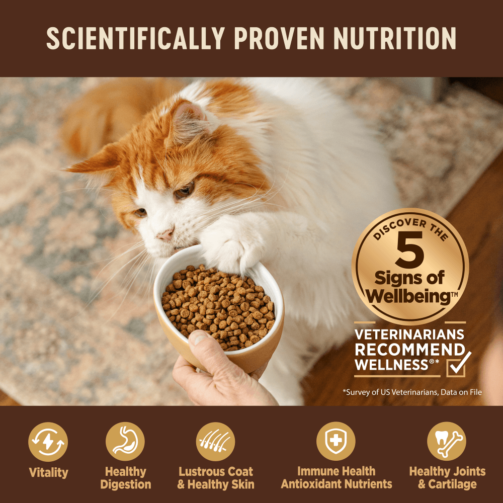 WELLNESS Core Grain Free Original Formula Cat Dry Food Turkey & Chicken 2.27kg