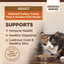 WELLNESS Core Grain Free Original Formula Cat Dry Food Turkey & Chicken 2.27kg